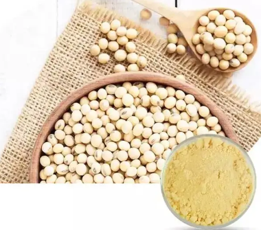 fermented soybean extract.png